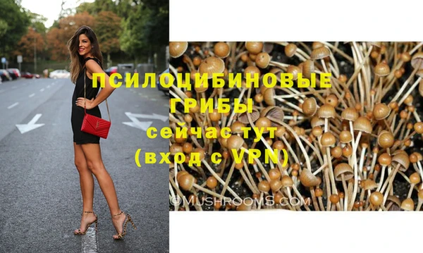 mix Алексеевка