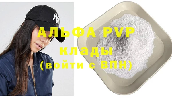 крисы Алзамай