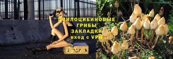амф Алексин
