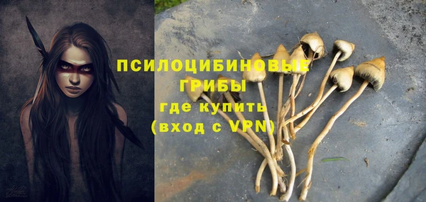 амф Алексин