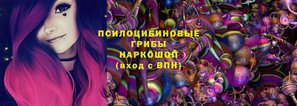 крисы Алзамай