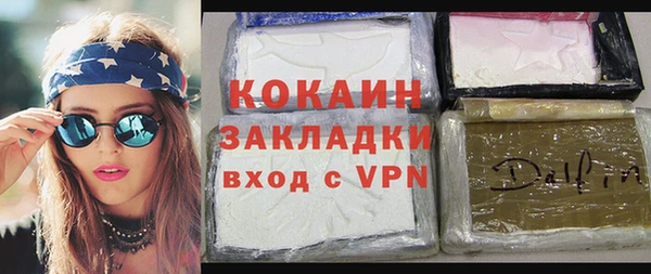 крисы Алзамай